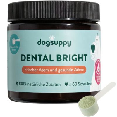Dental Bright 100% Natürliches 3-in-1 Zahnpflege Pulver für Frischen Atem