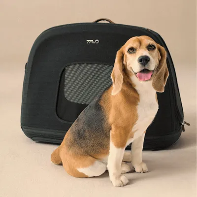 TAVO Crispin Transportbox für Hunde und Katzen TAVO Crispin Transportbox für Hunde und Katzen