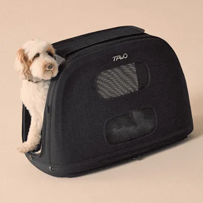 TAVO Crispin Transportbox für Hunde und Katzen