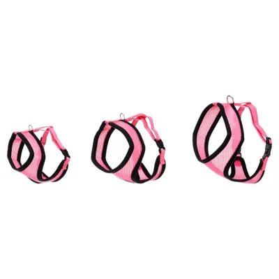 Flamingo Harms Katzengeschirr-Set rosa/schwarz Flamingo Harms Katzengeschirr-Set rosa/schwarz