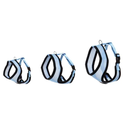 Flamingo Harms Katzengeschirr-Set blau/schwarz Flamingo Harms Katzengeschirr-Set blau/schwarz