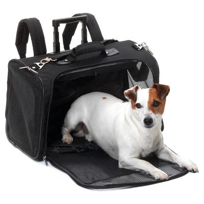 Flamingo Transporttasche / Rucksack Smart Trolley für Katzen
