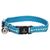 Flamingo Kätzchen Halsband Jinxy hellblau