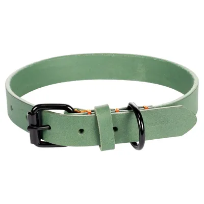 Flamingo Halsband Leano grün Flamingo Halsband Leano grün