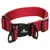 Flamingo Halsband Zorba rot Flamingo Halsband Zorba rot