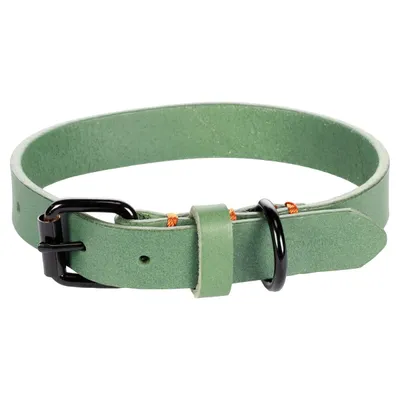Flamingo Halsband Leano grün Flamingo Halsband Leano grün