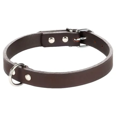Flamingo Seattle Halsband dunkelbraun Flamingo Seattle Halsband dunkelbraun