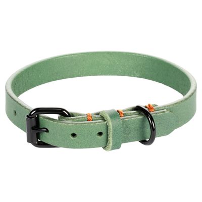 Flamingo Halsband Leano grün