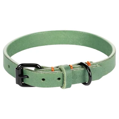 Flamingo Halsband Leano grün Flamingo Halsband Leano grün