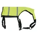 Flamingo Hundeweste fluo