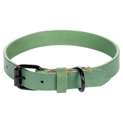 Flamingo Halsband Leano grün Flamingo Halsband Leano grün