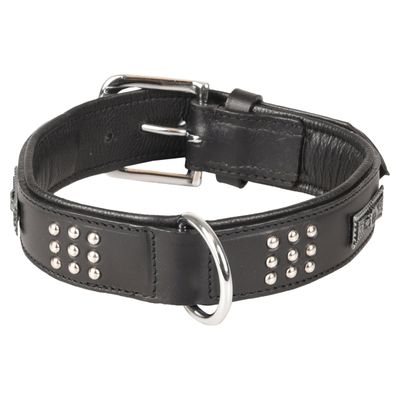 Flamingo Halsband Sedona Leder mit Nieten schwarz