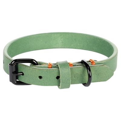 Flamingo Halsband Leano grün
