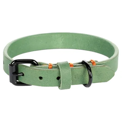 Flamingo Halsband Leano grün Flamingo Halsband Leano grün