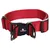 Flamingo Halsband Zorba rot Flamingo Halsband Zorba rot