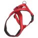 Flamingo Geschirr Cross Abbi rot