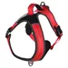 Flamingo Geschirr Toga rot