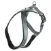 Flamingo Geschirr Cross Abbi grau