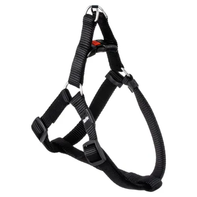 Flamingo Geschirr Step & Go Ziggi schwarz Flamingo Geschirr Step & Go Ziggi schwarz