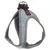 Flamingo Geschirr Step & Go Nelson blau Flamingo Geschirr Step & Go Nelson blau