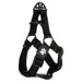 Flamingo Geschirr Step & Go Zorba schwarz