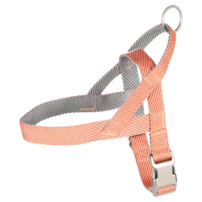 Flamingo Norweger-Geschirr Elly lachsrosa Flamingo Norweger-Geschirr Elly lachsrosa