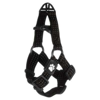 Flamingo Geschirr Step & Go Zorba schwarz