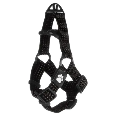 Flamingo Geschirr Step & Go Zorba schwarz Flamingo Geschirr Step & Go Zorba schwarz