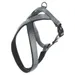Flamingo Geschirr Cross Abbi grau