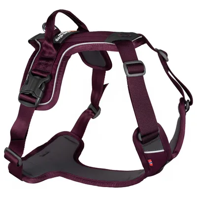 Non-stop dogwear Hundegeschirr Ramble Harness lila Non-stop dogwear Hundegeschirr Ramble Harness lila