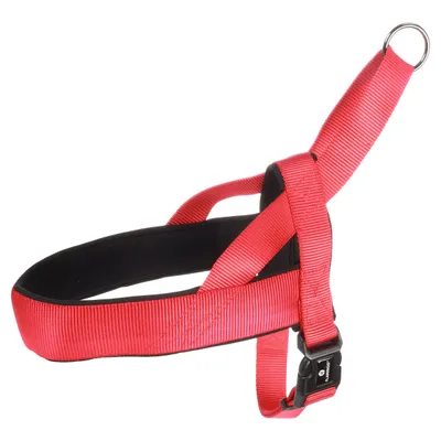 Flamingo Norweger-Geschirr Abbi rot Flamingo Norweger-Geschirr Abbi rot