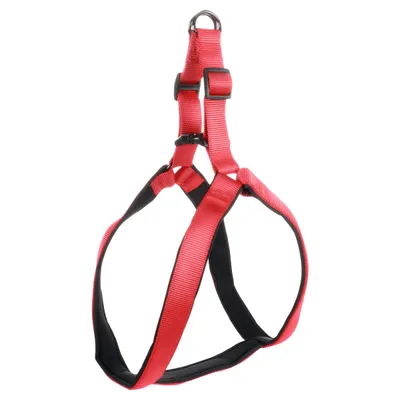 Flamingo Geschirr Step & Go Abbi rot Flamingo Geschirr Step & Go Abbi rot