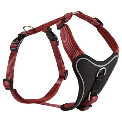 Wolters Geschirr Professional Comfort rost rot Wolters Geschirr Professional Comfort rost rot