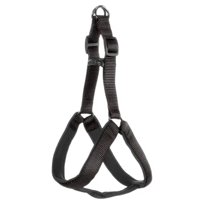 Flamingo Geschirr Step & Go Abbi schwarz Flamingo Geschirr Step & Go Abbi schwarz