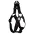 Flamingo Geschirr Step & Go Zorba schwarz Flamingo Geschirr Step & Go Zorba schwarz