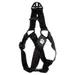 Flamingo Geschirr Step & Go Zorba schwarz