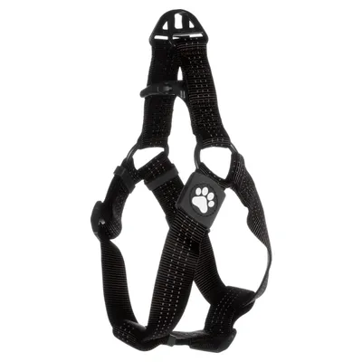 Flamingo Geschirr Step & Go Zorba schwarz Flamingo Geschirr Step & Go Zorba schwarz