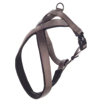 Flamingo Geschirr Cross Abbi taupe Flamingo Geschirr Cross Abbi taupe