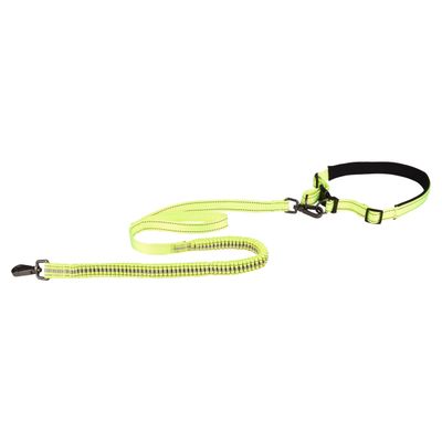 Flamingo Joggingleine + Taillengurt Diran