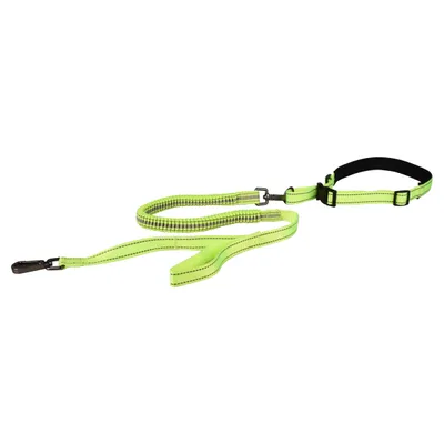Flamingo Joggingleine + Taillengurt Diran Flamingo Joggingleine + Taillengurt Diran
