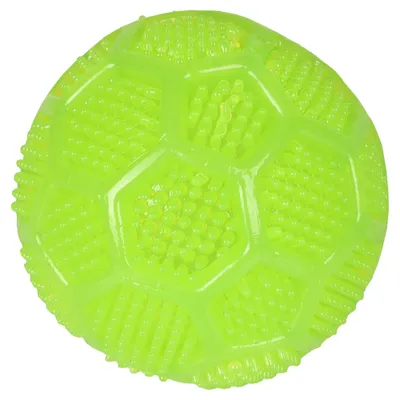 Flamingo Hundespielzeug TPR Dental Squeaky Ball grün Flamingo Hundespielzeug TPR Dental Squeaky Ball grün