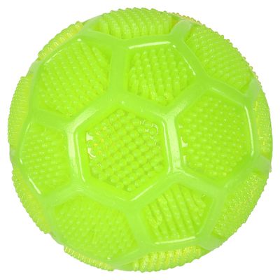 Flamingo Hundespielzeug TPR Dental Squeaky Ball grün