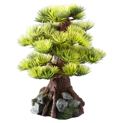 Aqua Della Aquariumdekoration Bonsai Medium Aqua Della Aquariumdekoration Bonsai Medium
