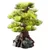 Aqua Della Aquariumdekoration Bonsai Medium Aqua Della Aquariumdekoration Bonsai Medium