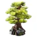 Aqua Della Aquariumdekoration Bonsai Medium