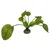 Aqua Della Aquarium Dekoration Anubias 2 grün Aqua Della Aquarium Dekoration Anubias 2 grün