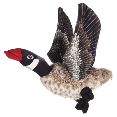 Flamingo Hundespielzeug Wingy Gans mit Seil Flamingo Hundespielzeug Wingy Gans mit Seil