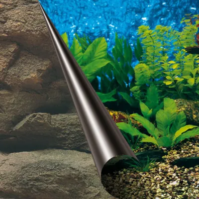 EBI Poster de fond d'aquarium mer et rocher