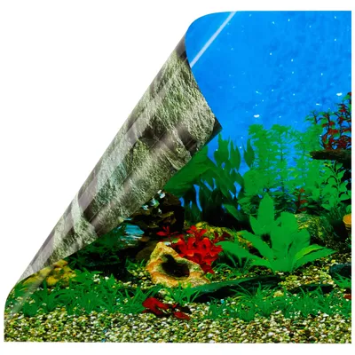 EBI Poster de fond d'aquarium mer et rocher