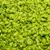 Aqua Della Glitzersteine grün 2 kg Aqua Della Glitzersteine grün 2 kg